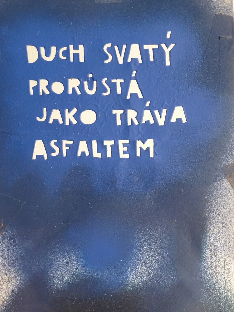 Timo — portrét